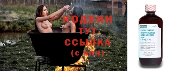 прущие крисы Ладушкин
